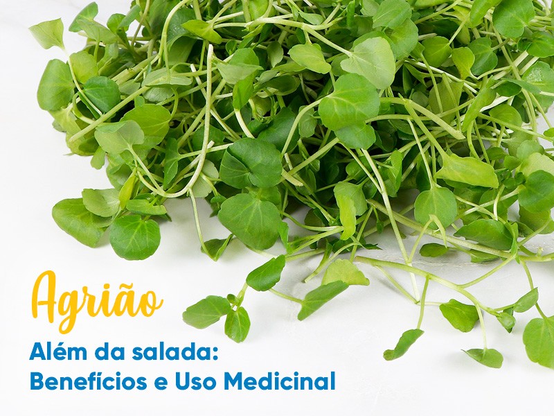 Agrio alm da salada: benefcios e uso medicinal